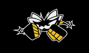 Killer Bees Muay Thai College Madrid - Boxeo in Madrid