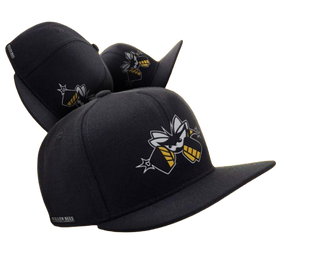 Gorra Killer Bees